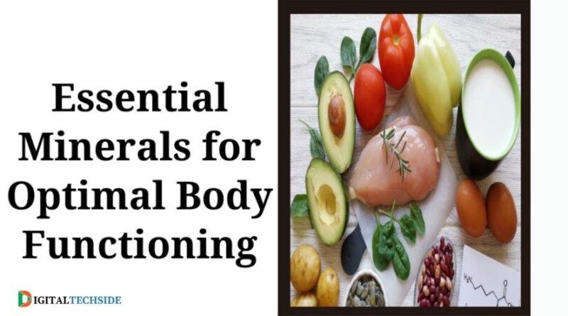 Essential Minerals for Optimal Body Functioning