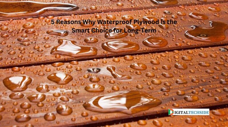 5 Reasons Why Waterproof Plywood is the Smart Choice for Long-Term