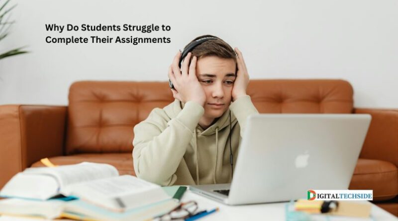 Why Do Students Struggle to Complete Their Assignments