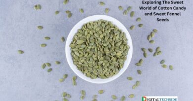 Exploring The Sweet World of Cotton Candy and Sweet Fennel Seeds